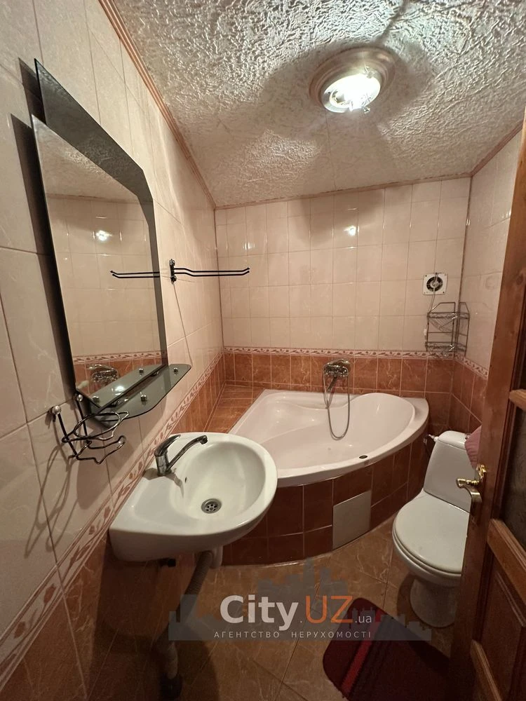 House for sale with business in Uzhhorod
