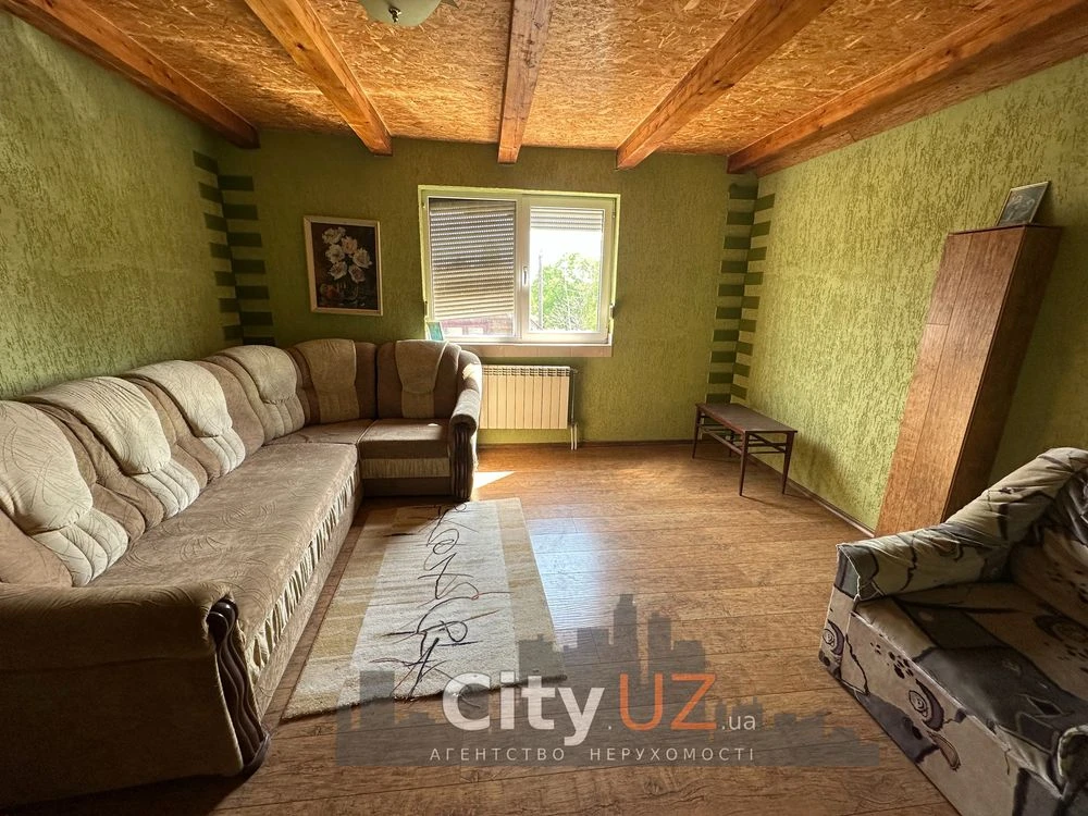 House for sale with business in Uzhhorod
