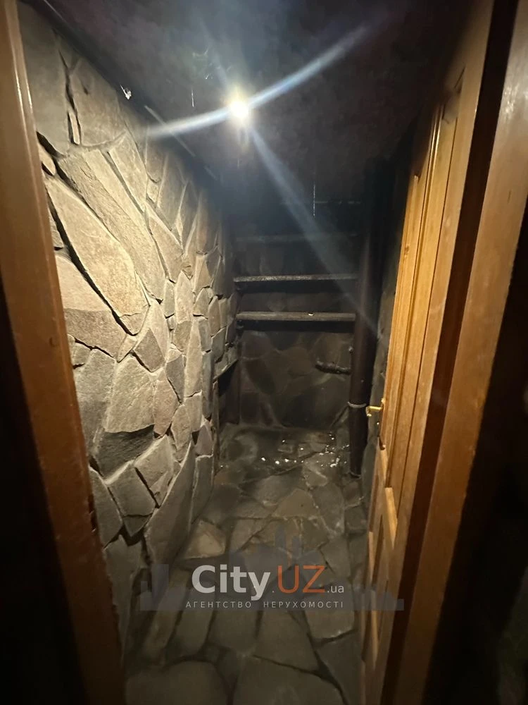 House for sale with business in Uzhhorod