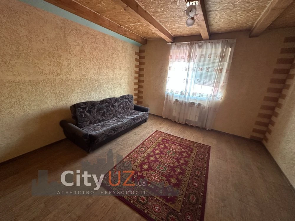 House for sale with business in Uzhhorod