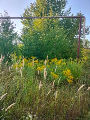 Продам ділянку 10 соток під забудову, Київський район, вул.