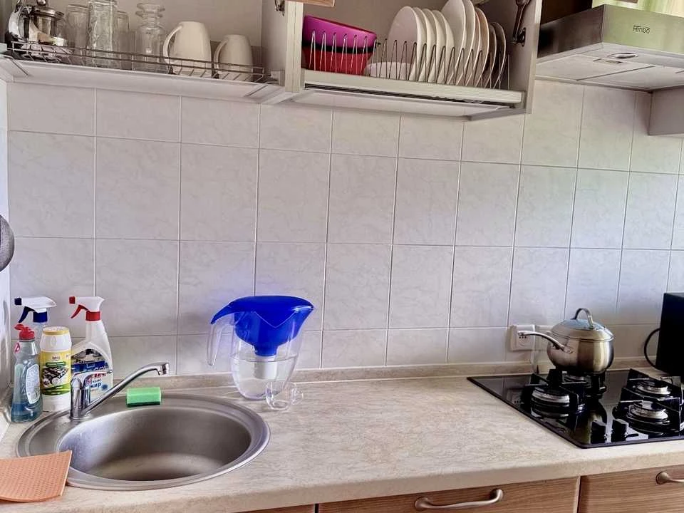 Apartment. Mikylo-Botanichna st.