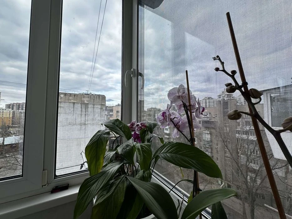 3х комн. квартира + кухня-студия 25 м² в Приморском районе О