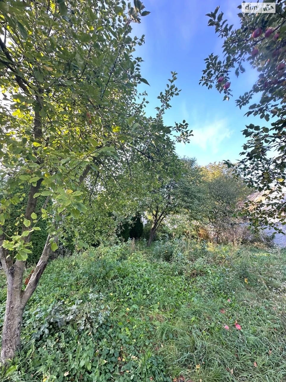 Sale of House in Grechan