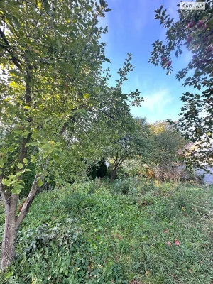 Sale of House in Grechan