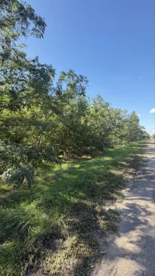 Land for sale