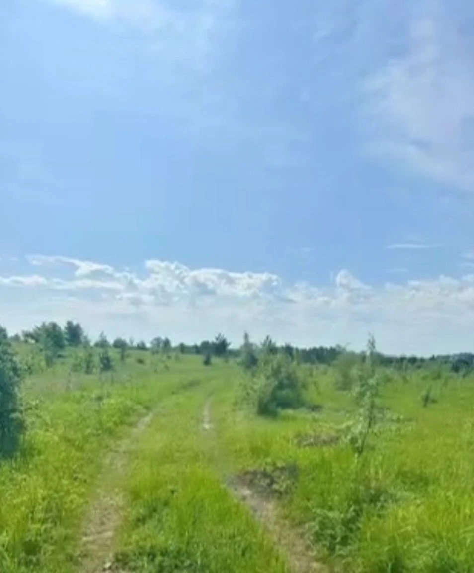 Продам земельну ділянку