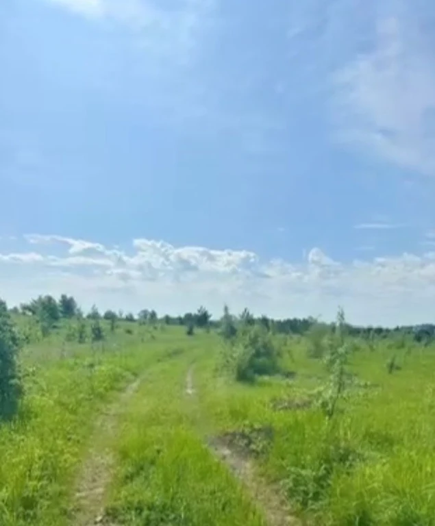 Продам земельну ділянку