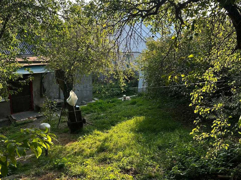 Будинок. Полтава, Олександра Несвіцького