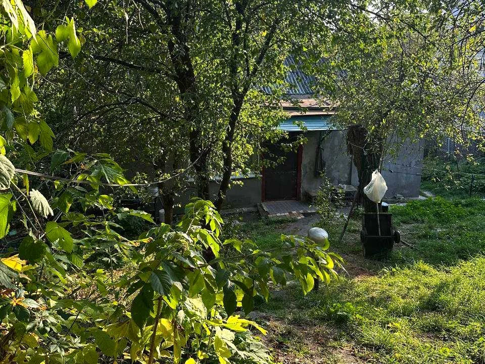 Будинок. Полтава, Олександра Несвіцького