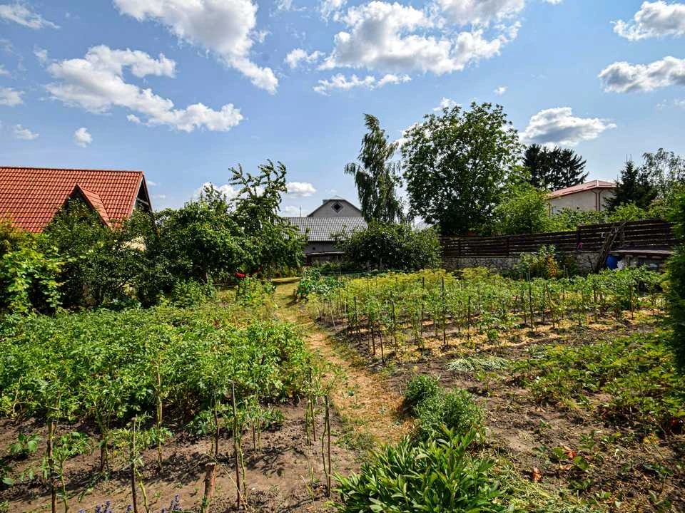 Будинок. Тернопіль, Вишнева вул.
