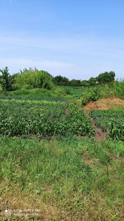 Privatized plot of land for construction 10 acres