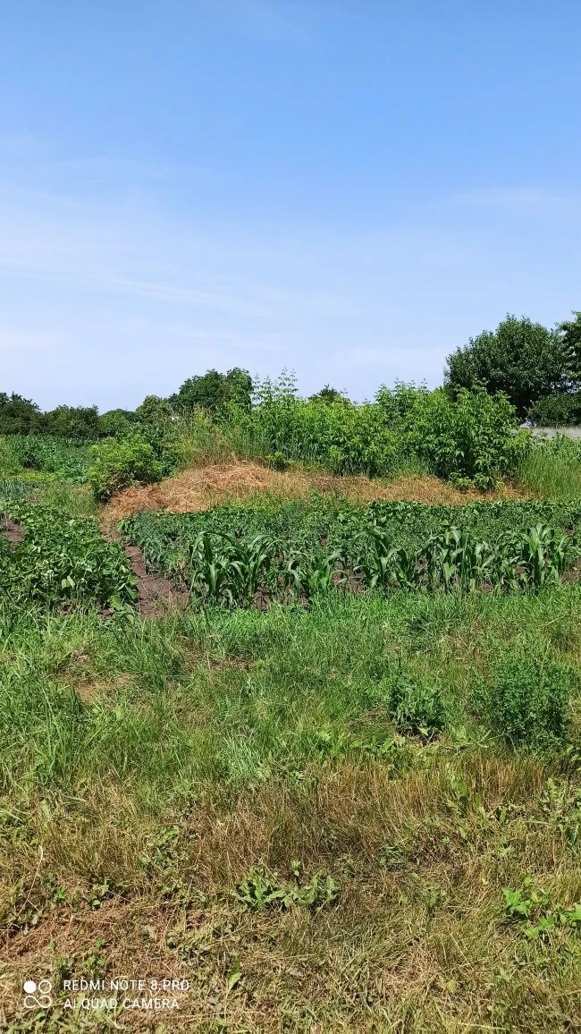 Privatized plot of land for construction 10 acres