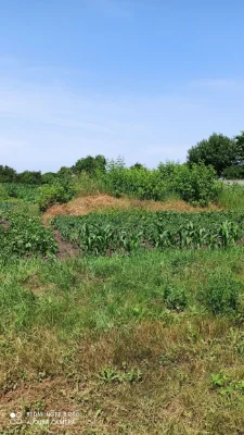 Privatized plot of land for construction 10 acres