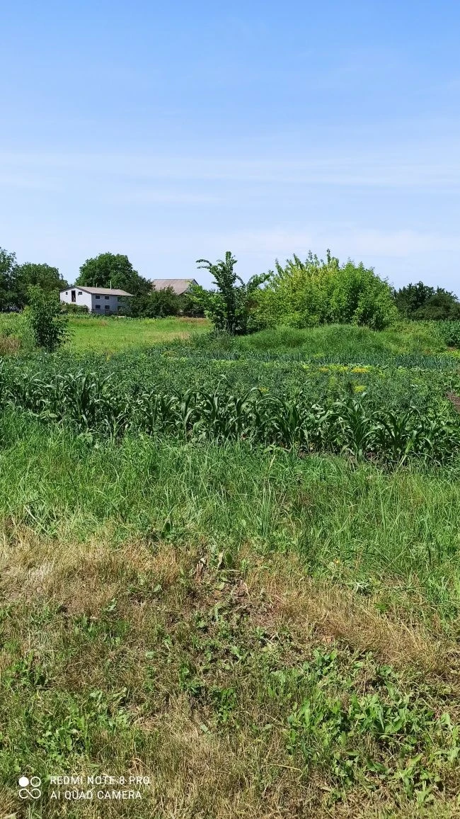 Privatized plot of land for construction 10 acres