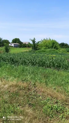 Privatized plot of land for construction 10 acres