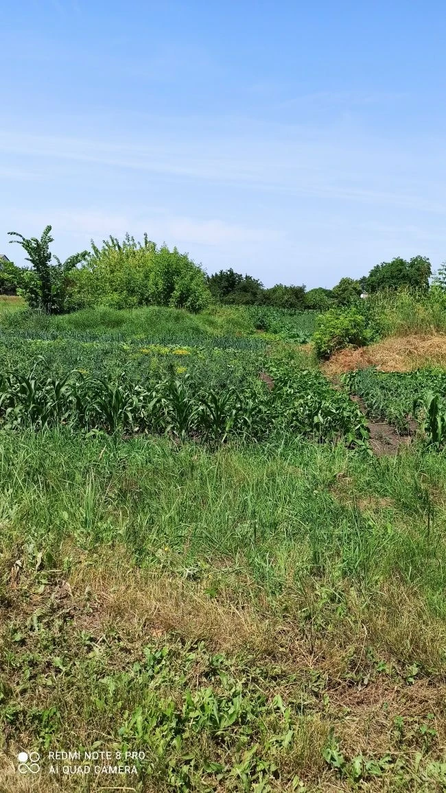 Privatized plot of land for construction 10 acres