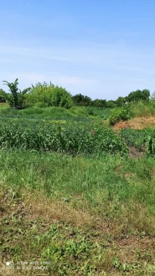 Privatized plot of land for construction 10 acres