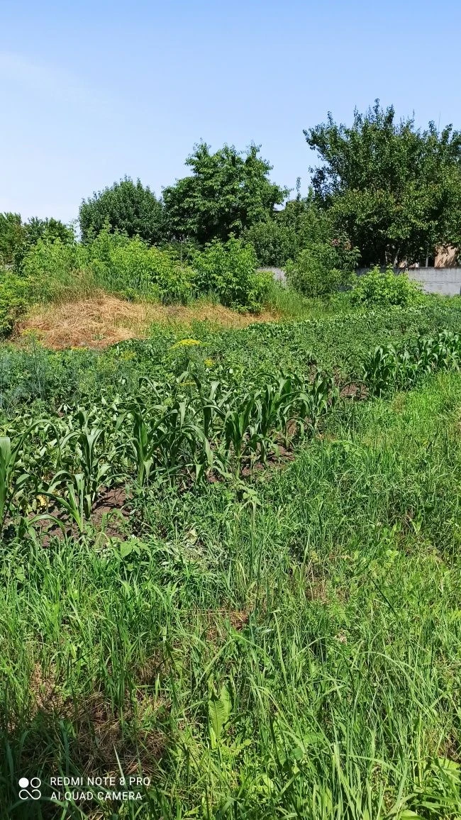 Privatized plot of land for construction 10 acres