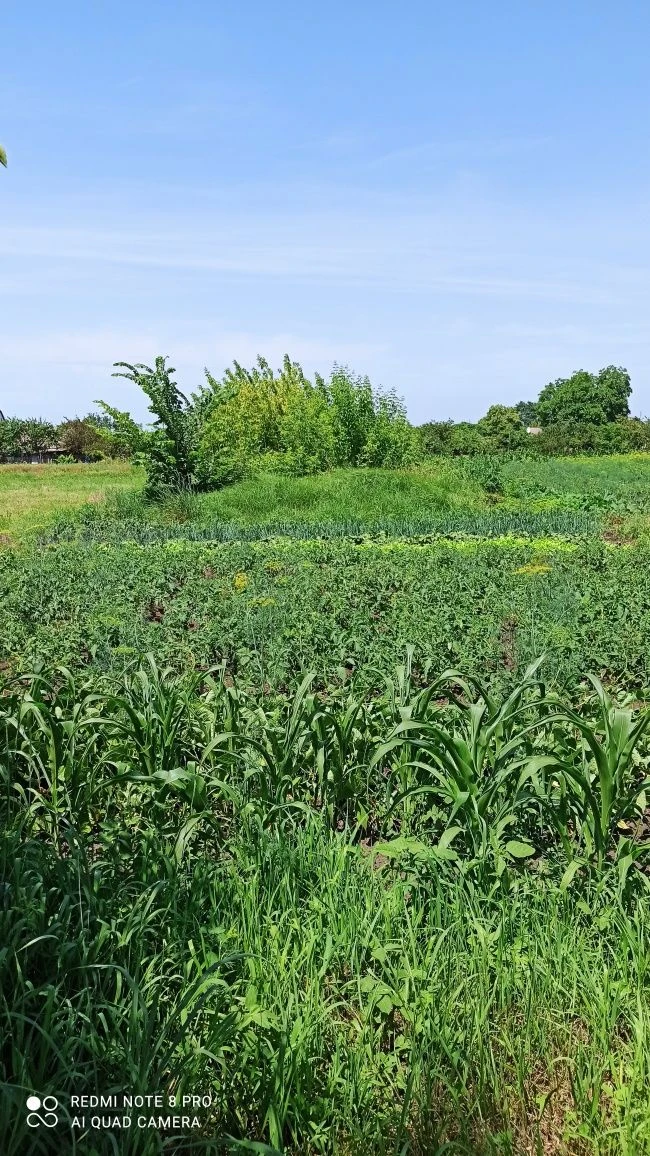 Privatized plot of land for construction 10 acres