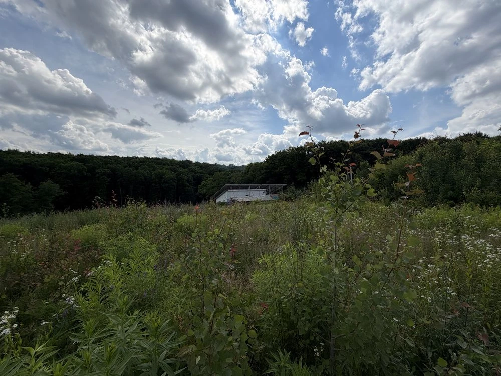 Land for residential development for sale in Vinnytsia