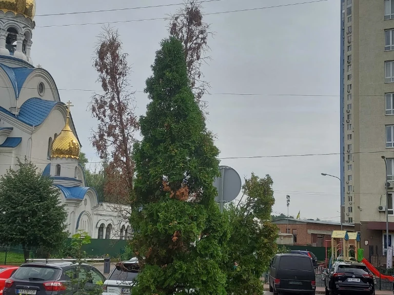 Квартира 2к Глушкова 9Г без комісії 16/25 пов м.Теремки Влас