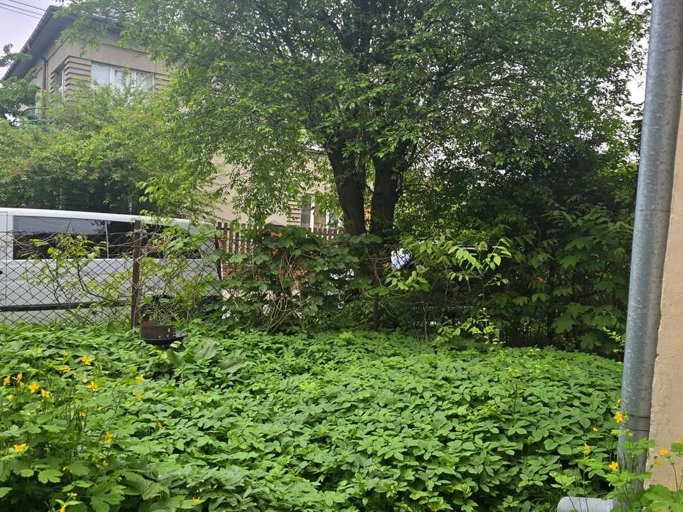 Квартира. Львів, вулиця Миколи Голубця