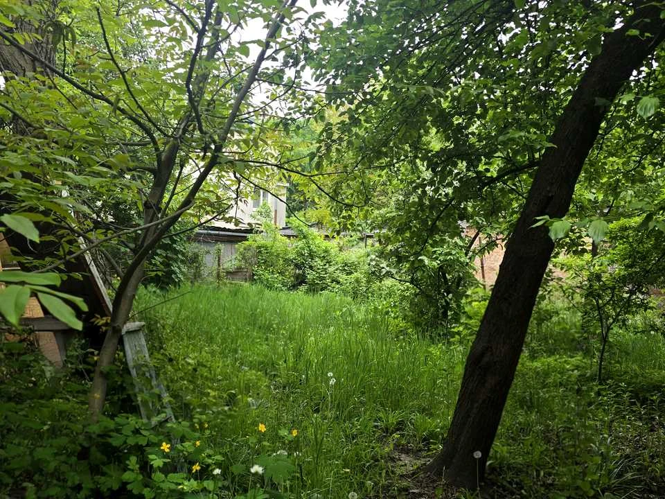 Квартира. Львів, вулиця Миколи Голубця