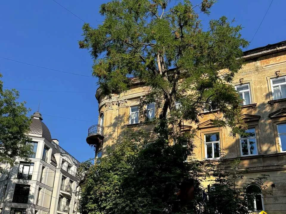 Квартира. Львів, вулиця Василя Стефаника