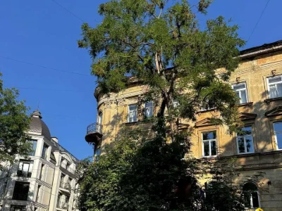 Квартира. Львів, вулиця Василя Стефаника