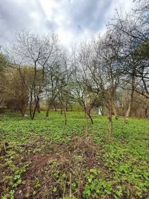 Продаж земельної ділянки у Львові, Шевченківський район, Ряс