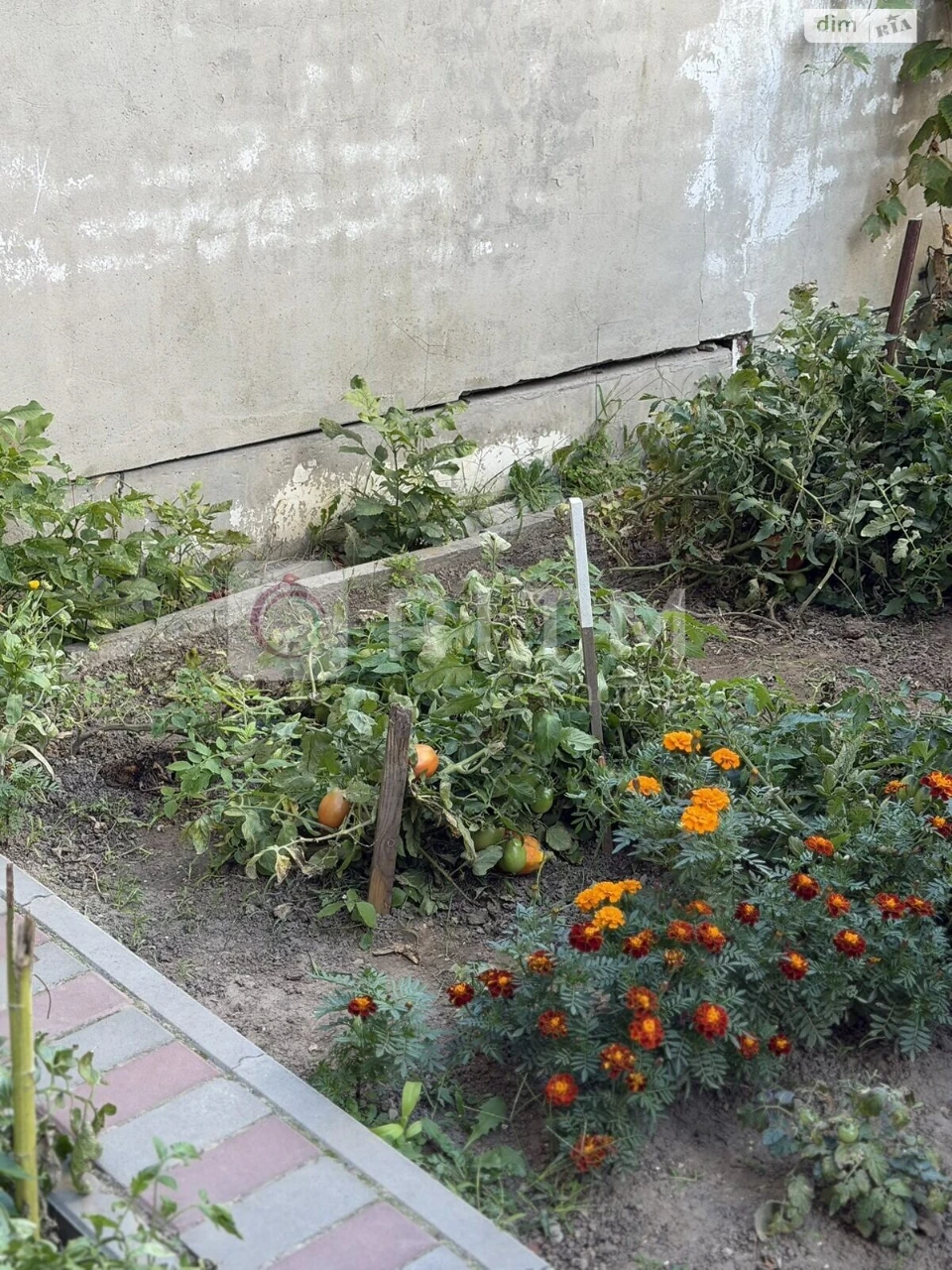 Apartment for Sale: City Center