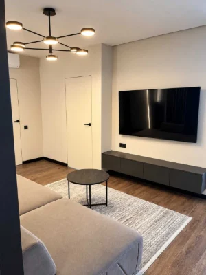 2-room with kitchen-living room | Center, BAndery-Sakharov | Furniture + appliances |