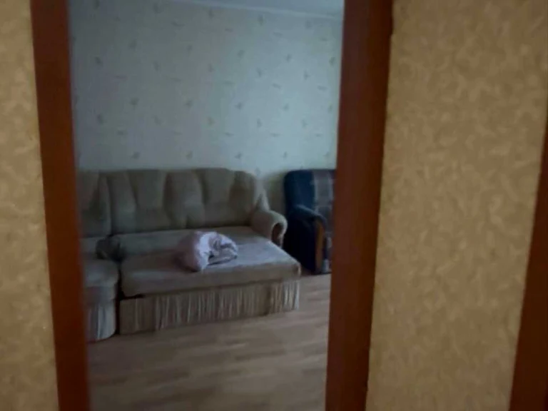 Apartment. Kyiv, Kostyantyna Danykivych Street