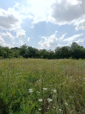 Продаж Земля сільськогосподарського призначення