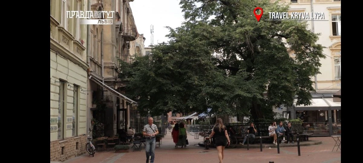 Квартира в центре Львова