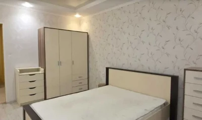 Apartment for Sale: 1 Room Apartment in Novoset in Oleksievka (Харків)