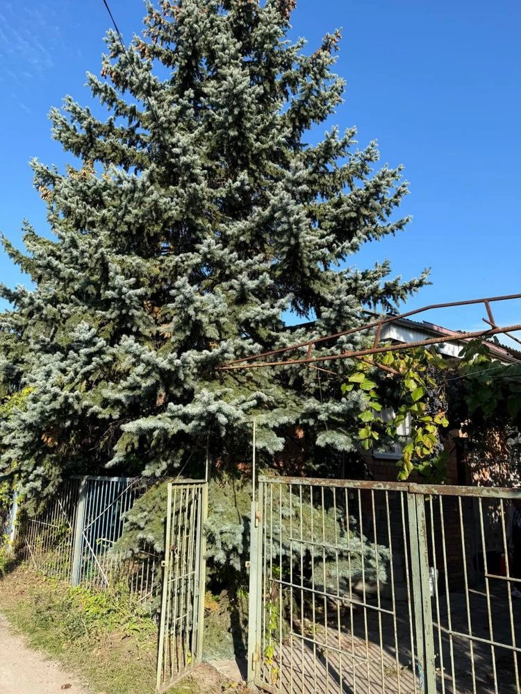 Продається Дім-дача в Самаровке, Лівий Берег