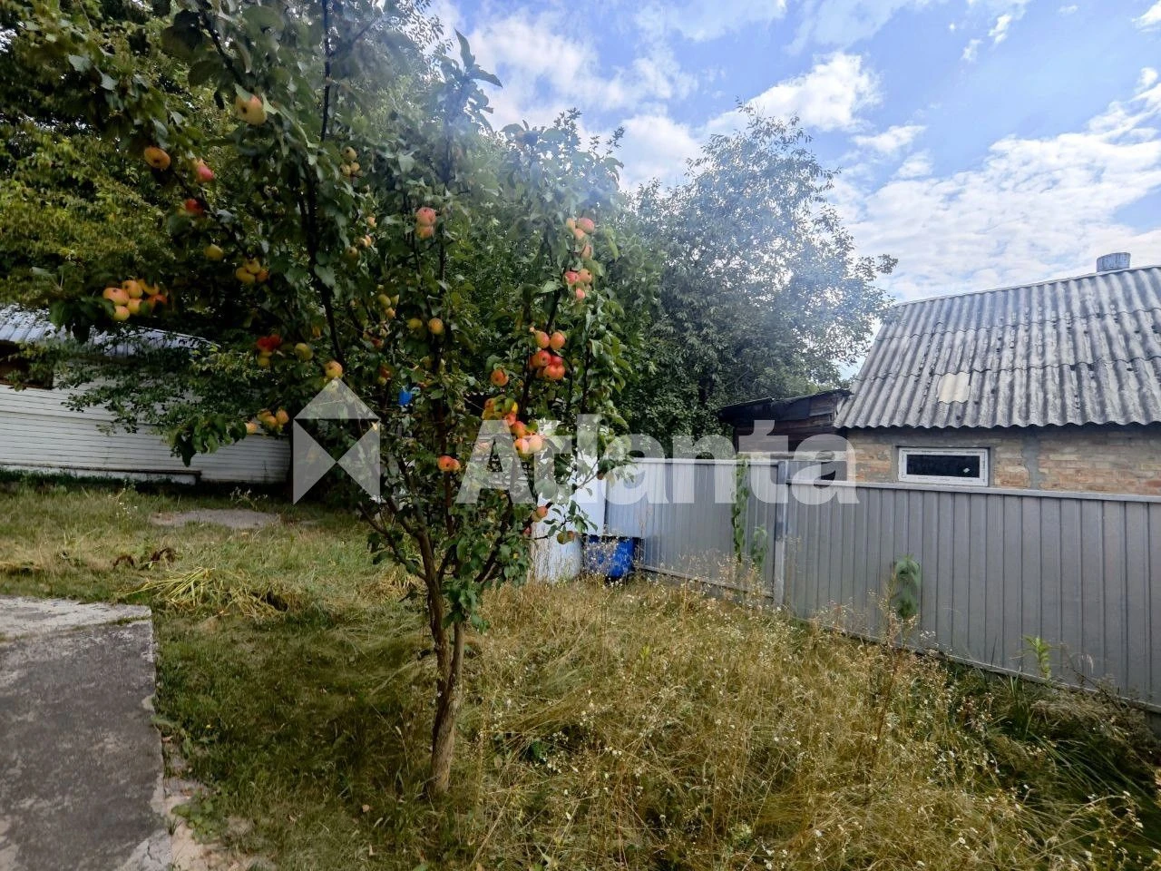 Independent House on Berezaysky Prospekt