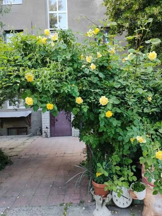 Sale‼️3-room apartment for sale in the center of Juray Zoyfera Street