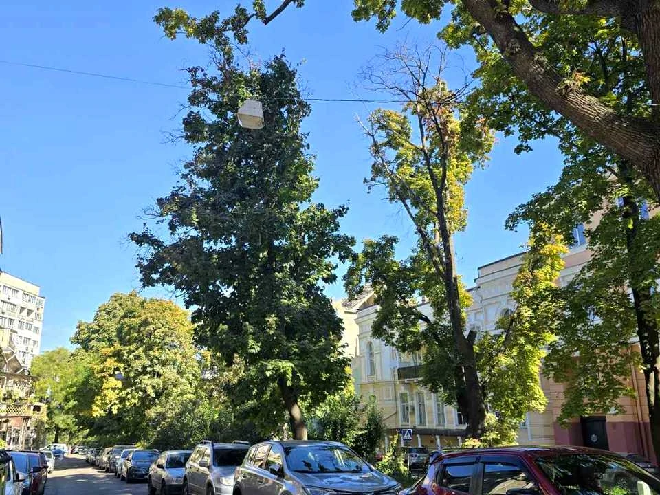 Квартира. Одесса, улица Преображенская
