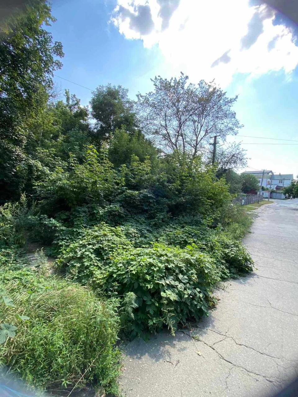 Land plot of 0.1087 hectares - City of Poltava