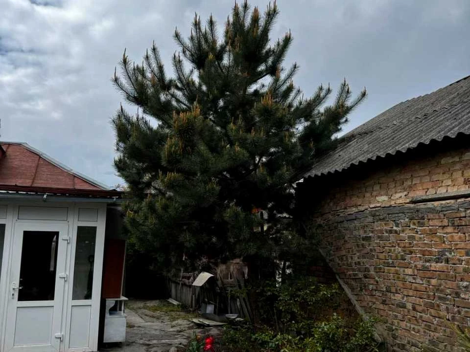 House. Yurii Красноkutського Street, Kropyvnytskyi