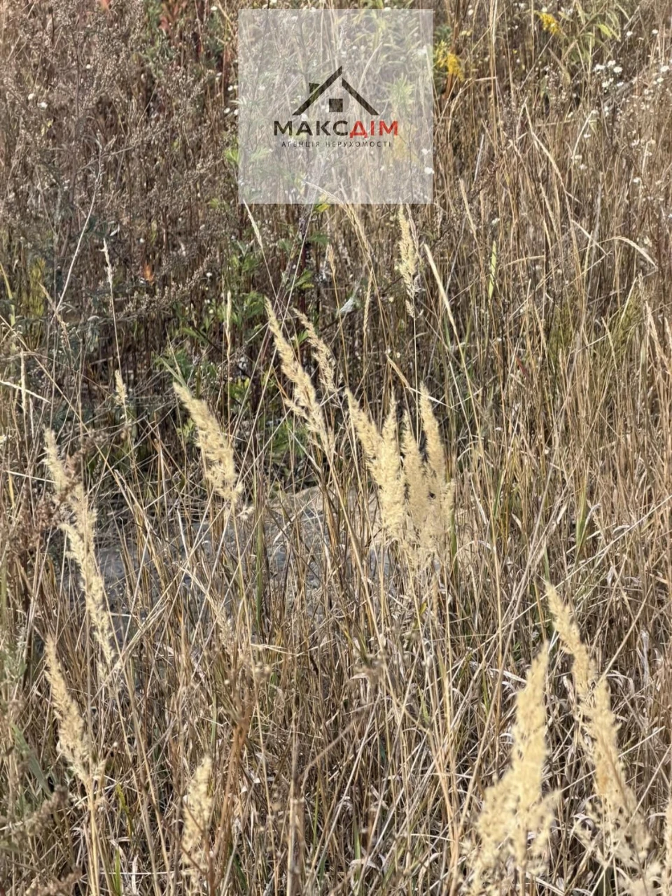 Sale of land plot in the settlement of Sadivnyche Tovarystvo Veteraniv ATO. No commission.