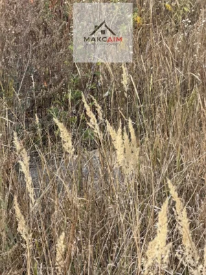 Sale of land plot in the settlement of Sadivnyche Tovarystvo Veteraniv ATO. No commission.