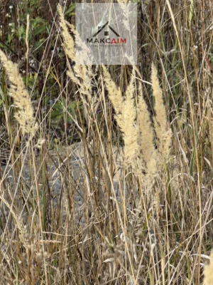 Sale of land plot in the settlement of Sadivnyche Tovarystvo Veteraniv ATO. No commission.