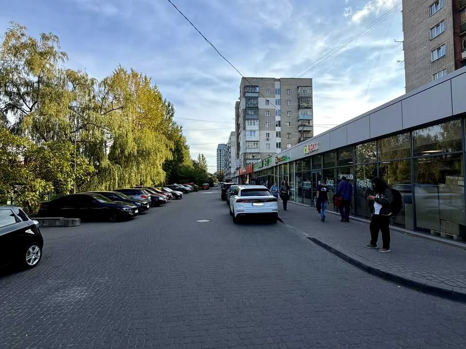 Apartment. Volodymyr Veliky Street, Lviv
