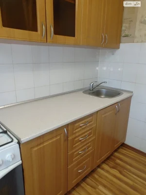 Long Term Rental Apartment Voskresenka