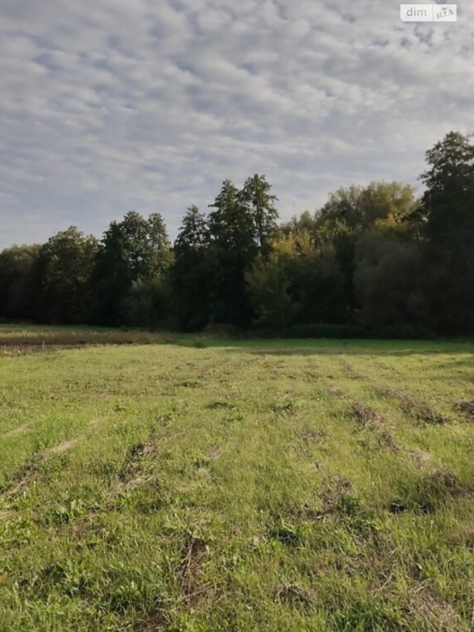 Agricultural Land for Sale