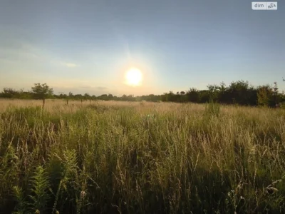 Agricultural Land for Sale